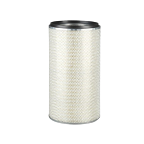 Filter zraka (P131280)