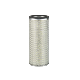 Filter zraka (P131337)