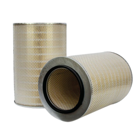 Filter zraka (P131343)