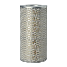 Filter zraka (P133765)