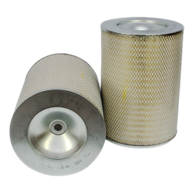 Filter zraka (P134353)