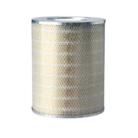 Filter zraka (P137957)