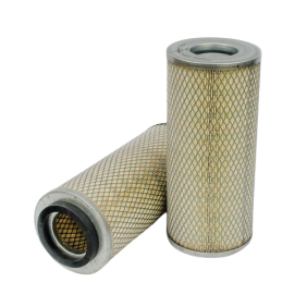 Filter zraka (P140131)