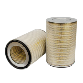 Filter zraka (P145700)