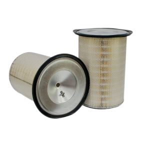 Filter zraka (P145702)