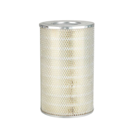 Filter zraka (P151951)