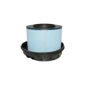 Filter zraka (P785542)