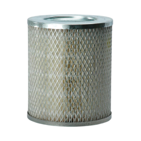 Filter zraka (P015835)