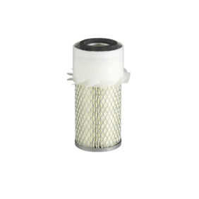 Filter zraka (P102745)