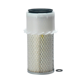 Filter zraka (P108736)