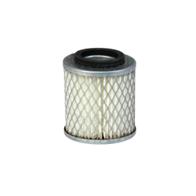 Filter zraka (P113720)