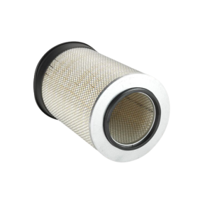 Filter zraka (P115889)