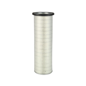 Filter zraka (P118216)