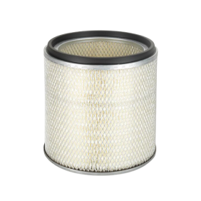 Filter zraka (P119596)