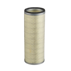 Filter zraka (P123828)