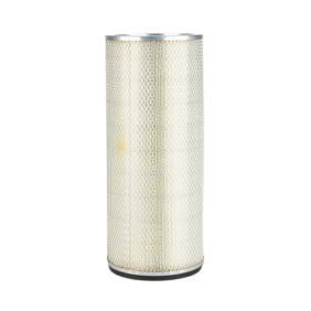 Filter zraka (P124868)