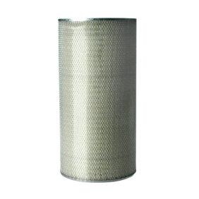 Filter zraka (P127308)